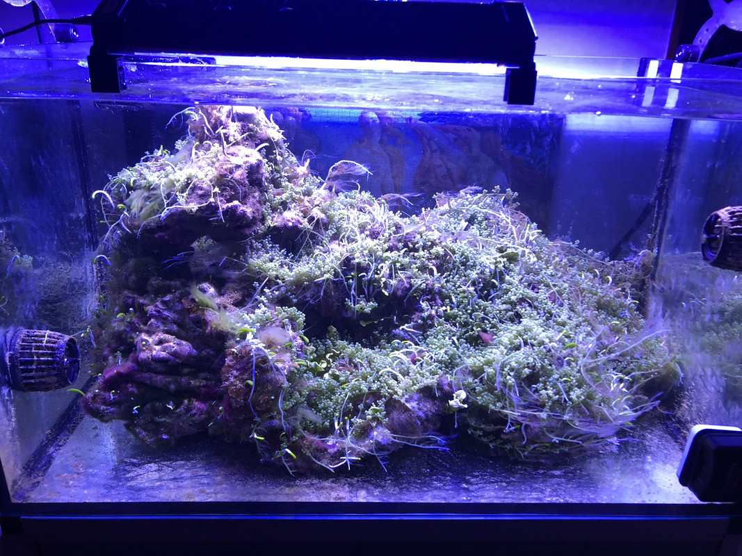 935F8243-576E-4D1F-945D-FFAD892EE2B6