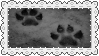 paw prints