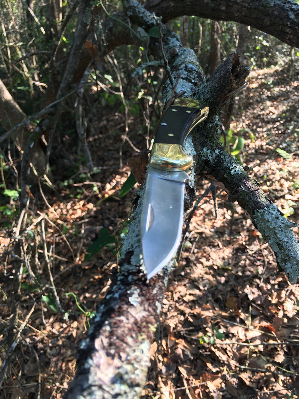 AE768162-81A8-4E57-85FC-F50760FAF5B0