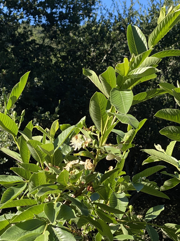 F64C79CD-BD45-45F2-8D27-A1C1F0E77CAE