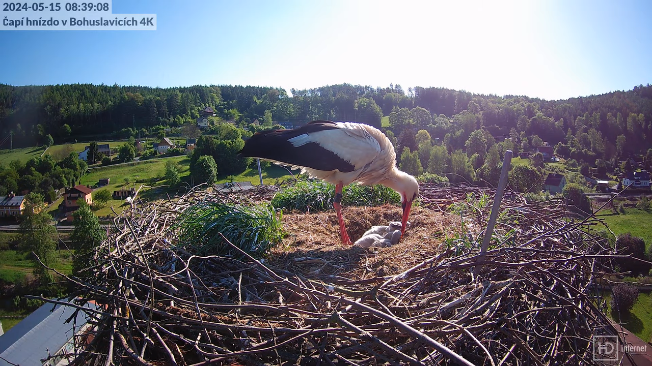 Tiešraidē no uzņēmuma KARA stārķa skursteņa Bohuslavicē pie Trutnovas 10-46-14 screenshot