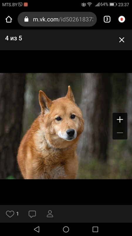 изображение_viber_2020-05-28_00-43-03