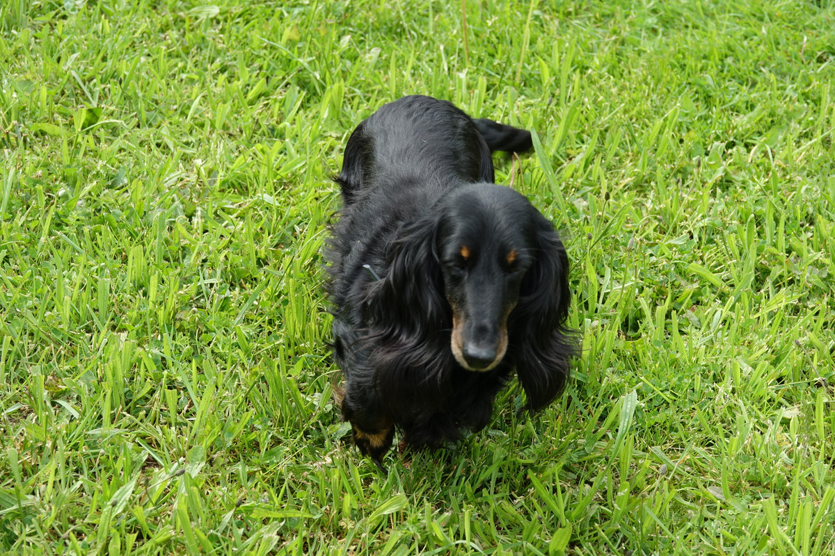 [Image: DSC00133.jpg]