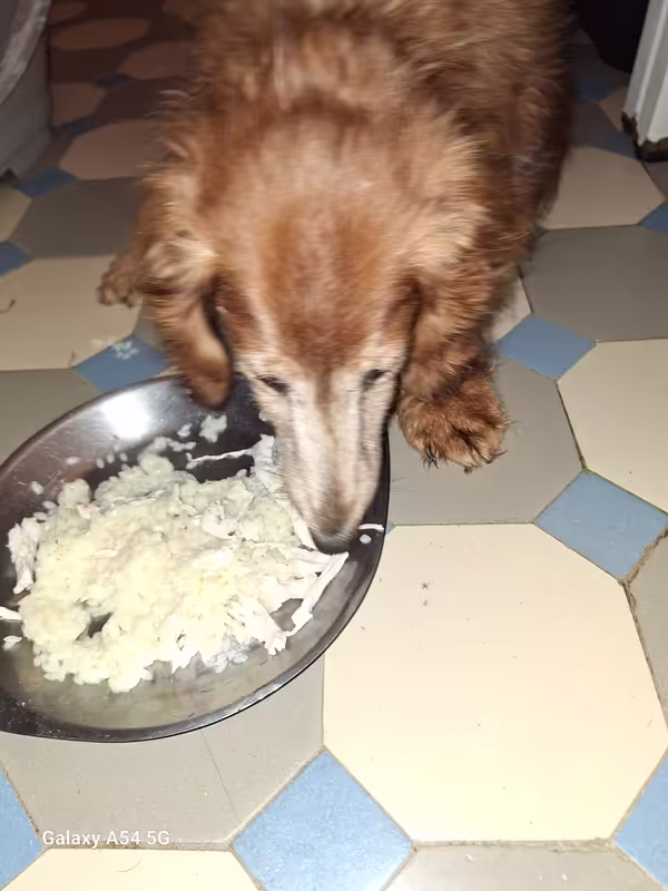 [Image: 20240829-203126.avif]