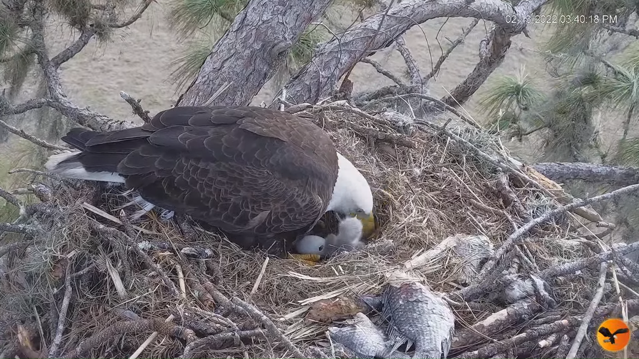 EC 4K Overhead Cam 11-29-14 screenshot