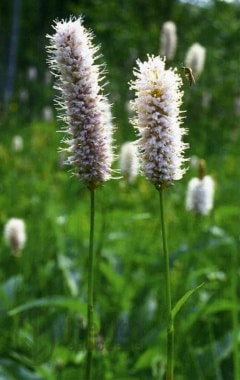 75ad5d57cc6167271965025bd898fdbd