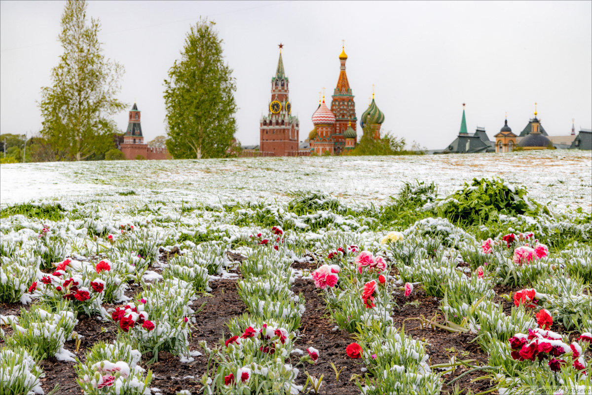  Это май чародей... by fotografersha. Вот такое вот херовое лето! LM5R8302