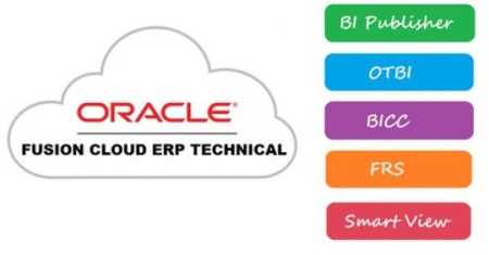 Oracle Fusion Technical - BI,OTBI,BICC,FRS, SmartView & More