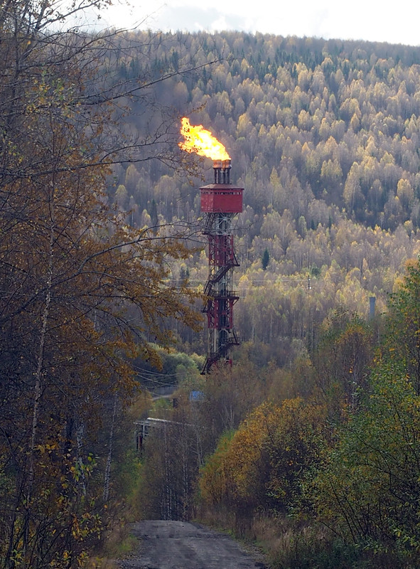 PA061993.jpg