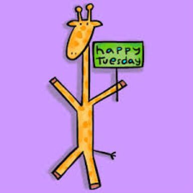 Tuesday-Giraffe-Happy