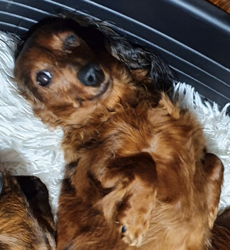 [Image: 20201108-183638.jpg]