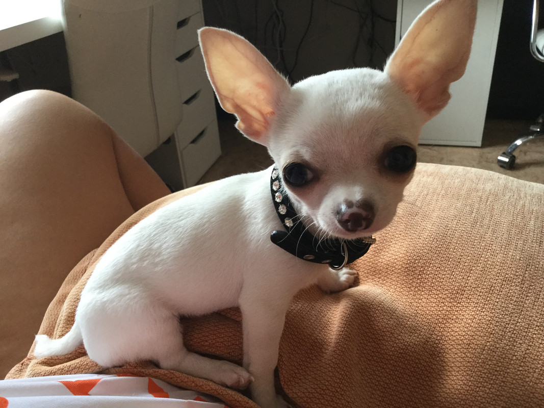 04BE5CA8-5C76-4C72-94E0-9E4917B18253