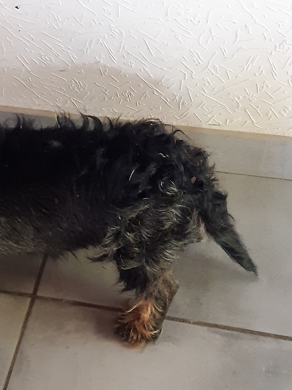 [Image: 20230503-165135.jpg]