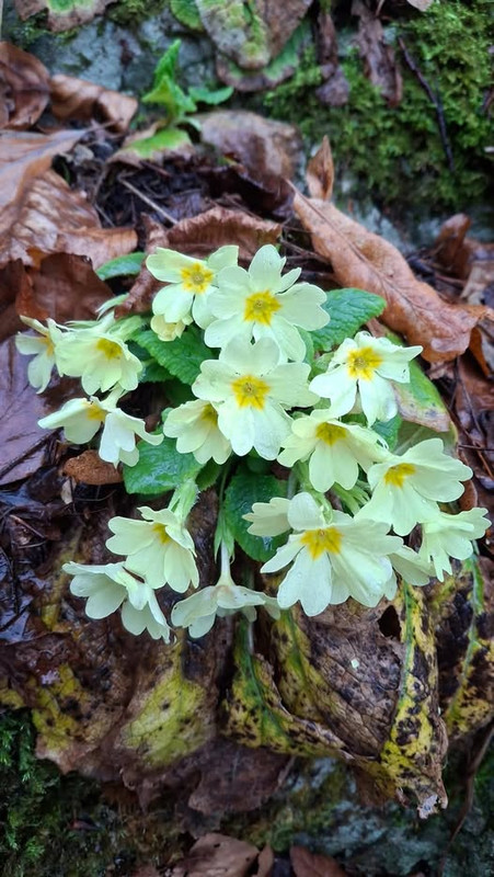 640337144-10239819142475063-3793880692342189003-n