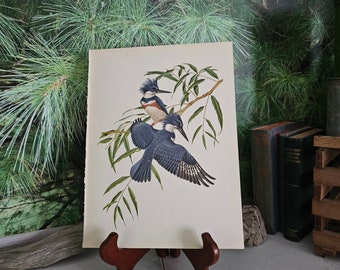 art a drawing of an eagle for east jackson County