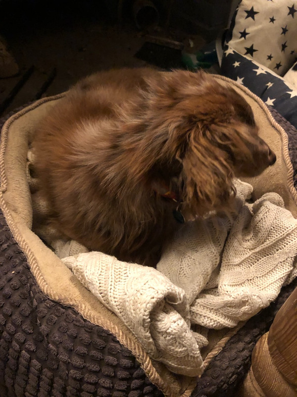 [Image: IMG-20240329-070050.jpg]