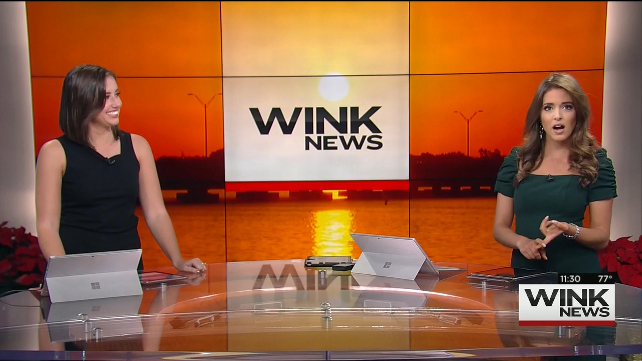 11.22 - 16.30.00 - WINK News @ 11 30AM..ts_snapshot_06.55.635