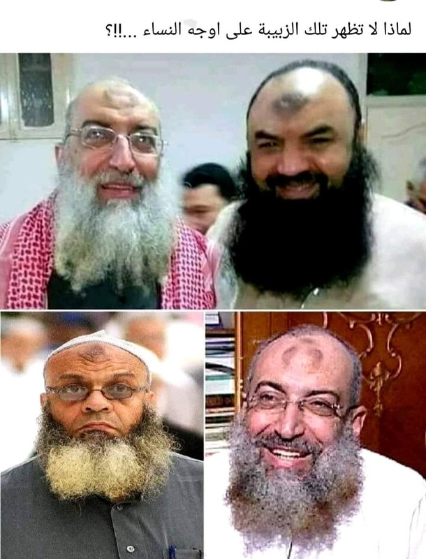 ۲۰۲۴۰۳۱۷_۰۶۲۶۴۱