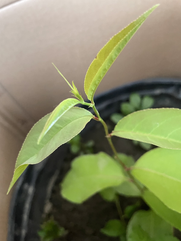 C660D49B-1BB8-452F-97AC-C6D7829287BD