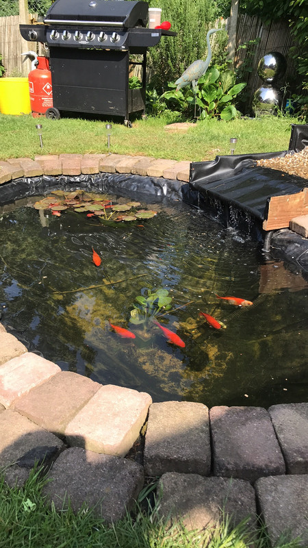 6449661B-854E-4253-A0A1-F4B102FD7265