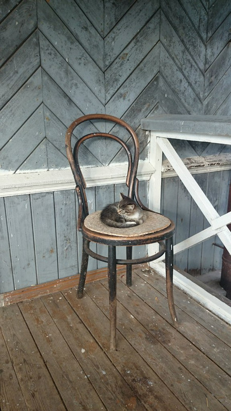 tumblr_ohqg77Cr6q1qzhjh2o1_1280