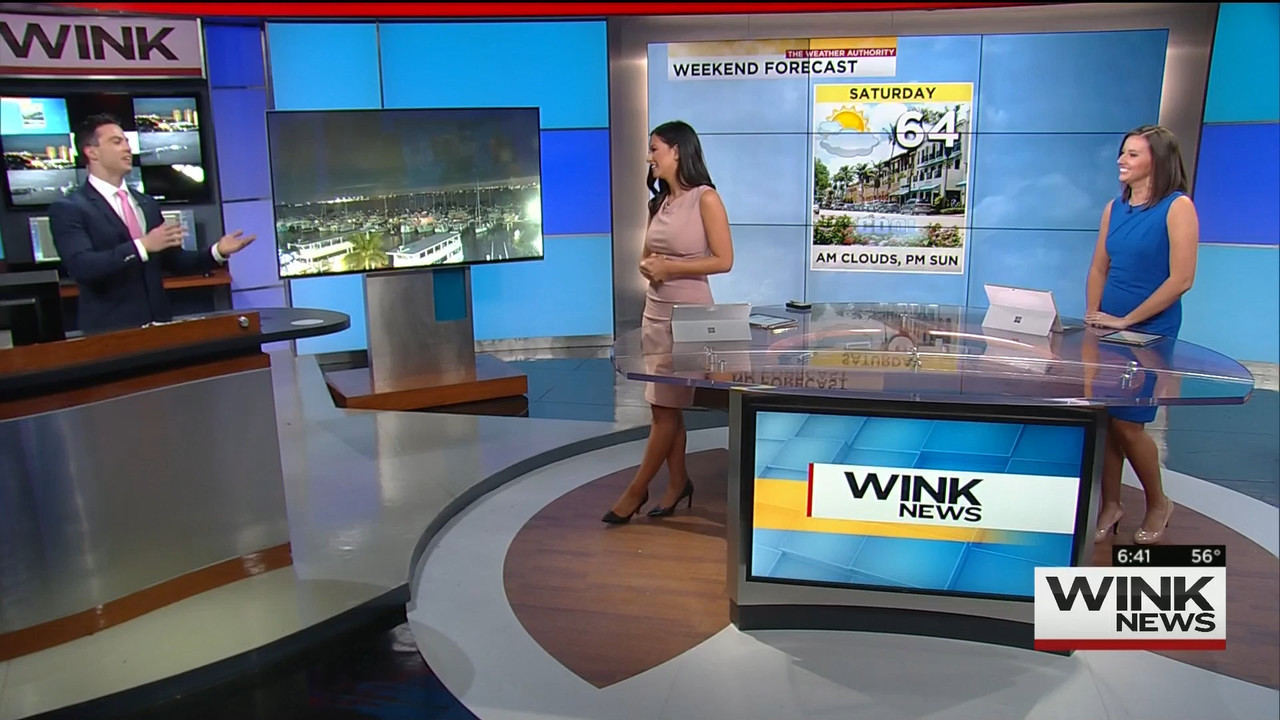 01.09 - 11.00.00 - WINK News @ 6 00am..ts_snapshot_00.48.01.993