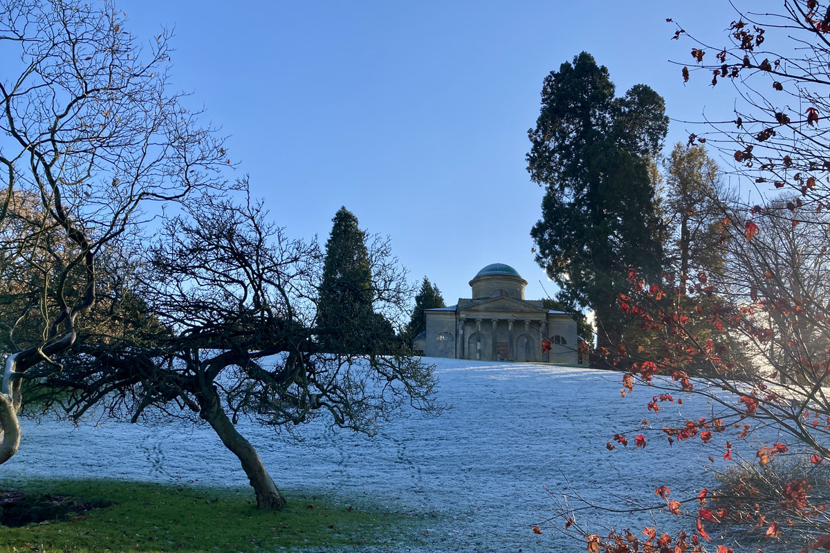 BF7A1F58-E199-4E6D-9736-B0AE271FABE0