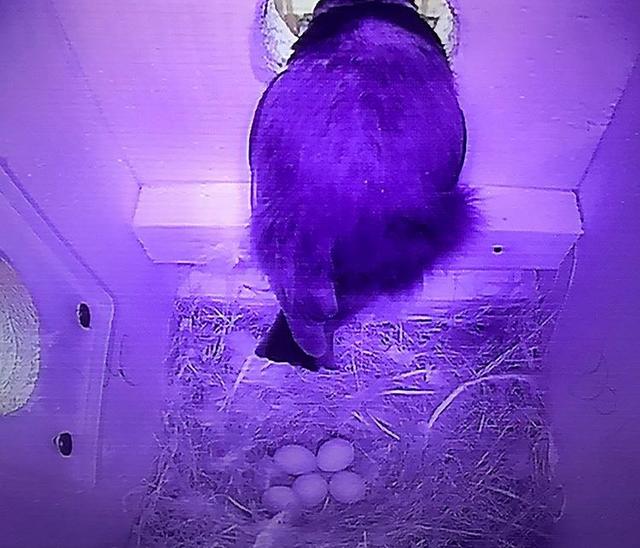 0DE13DAA-B338-4FFD-A115-72444AB1BFB6