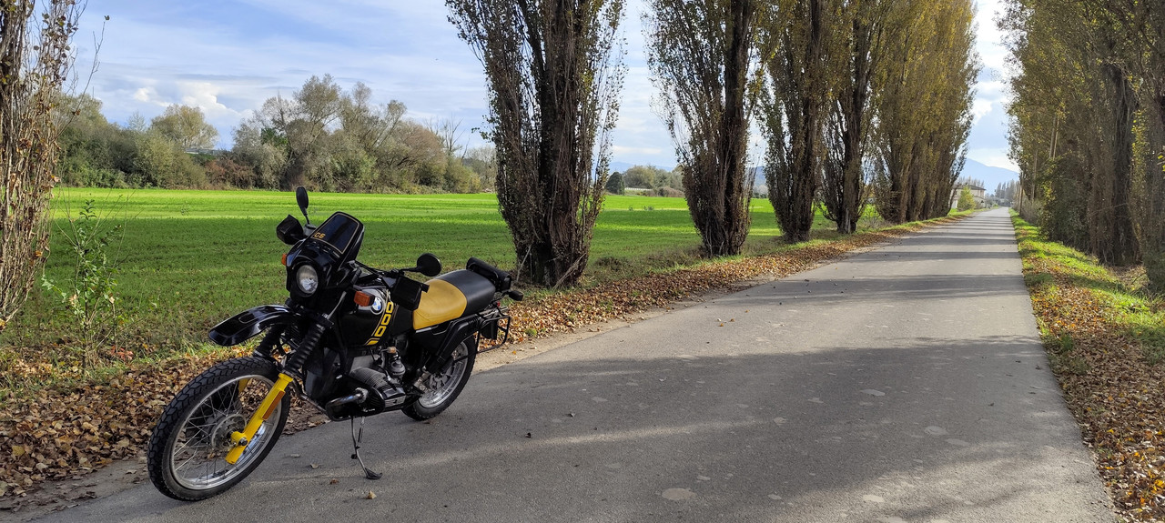 IMG_20241109_134802 (1)