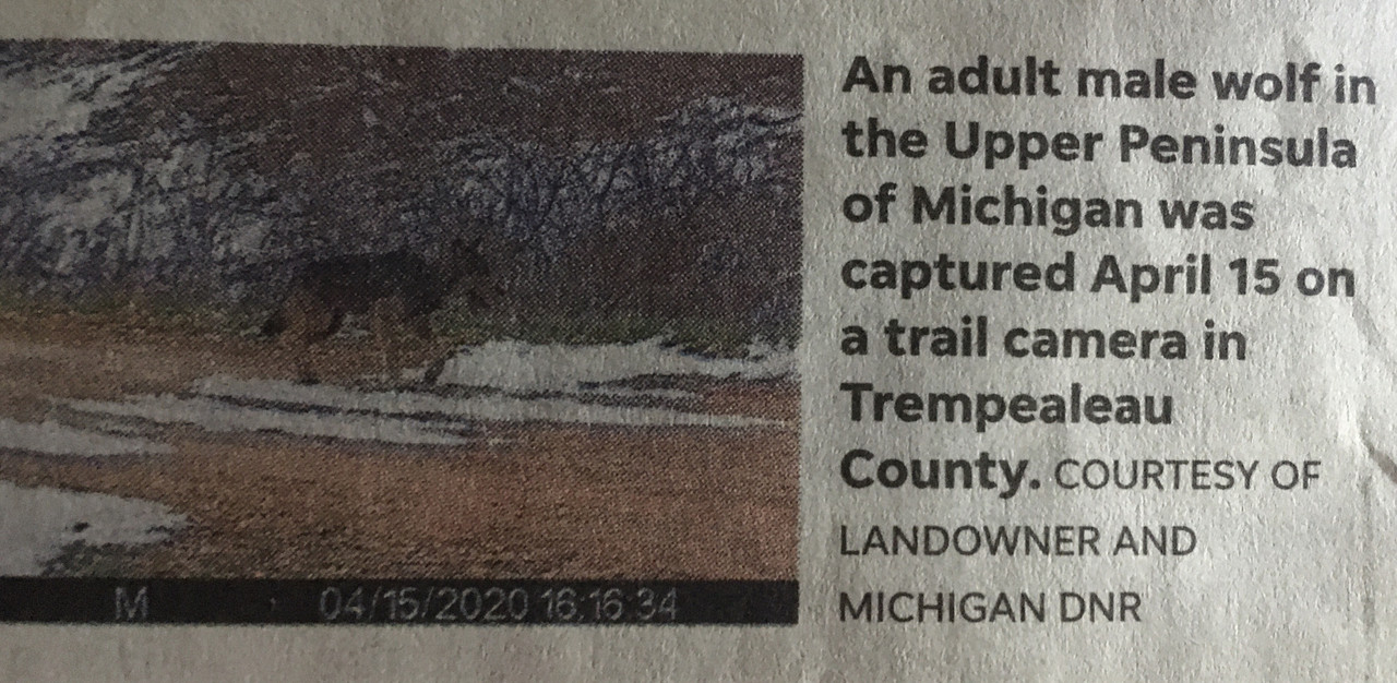 74738184-A9C5-4714-A6E3-452A4E1F3031