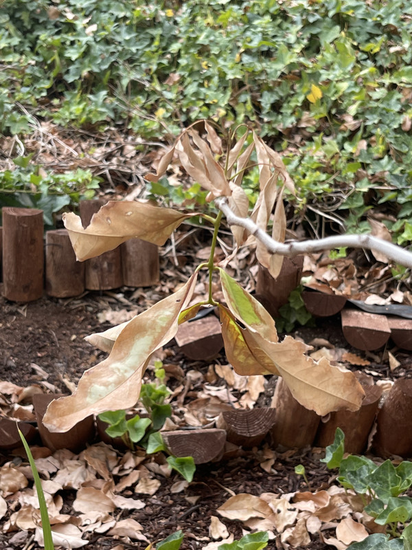 2456EFAE-69D0-4516-B074-E0E6041907CC