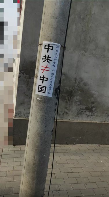 https://i.postimg.cc/YCWnnpsp/imige-5.jpg