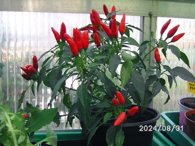 [Bild: BILD0377.jpg]
