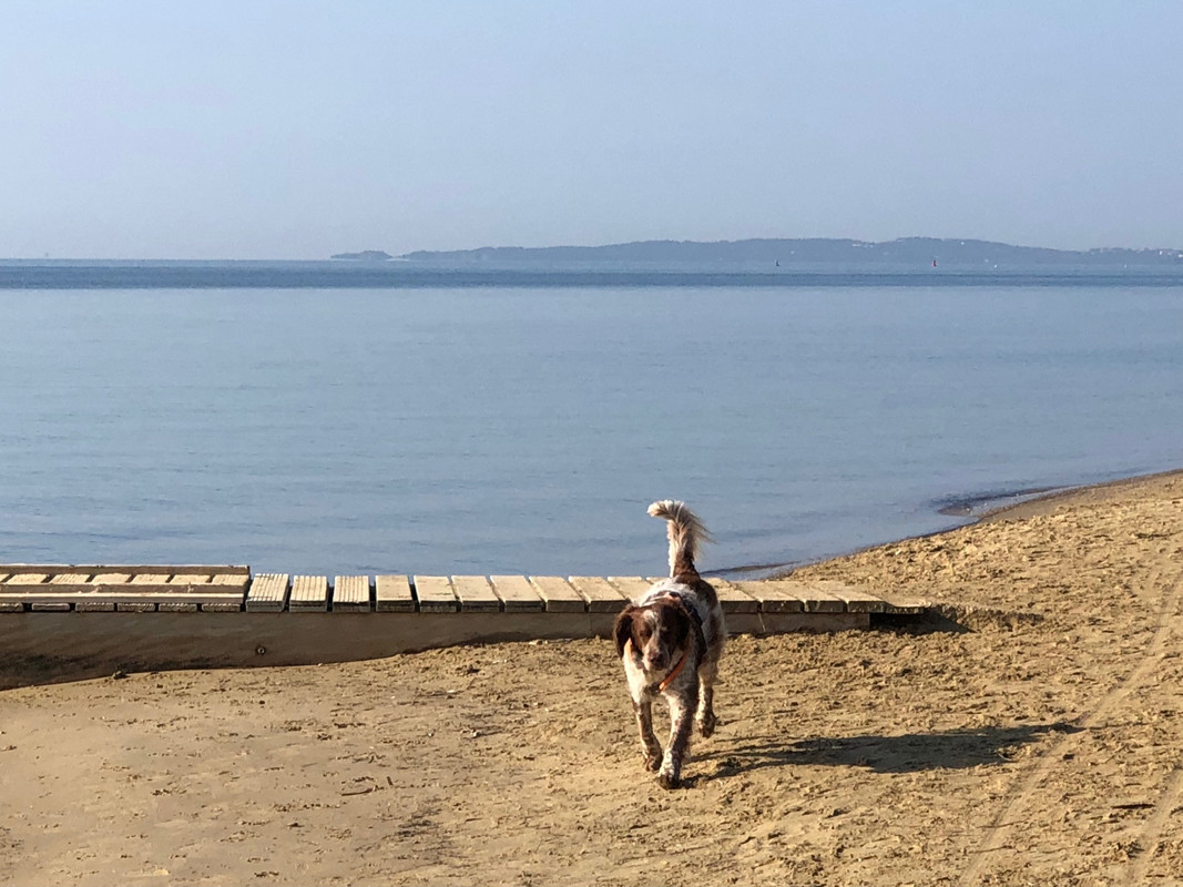 FC304F6E-8E4E-4358-B461-8BCABC55B9AA