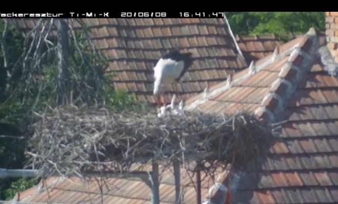 2020-06-08_164844Misi etet