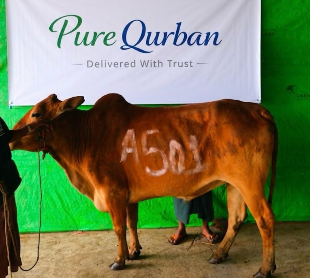 Suasana Sembelihan Sah