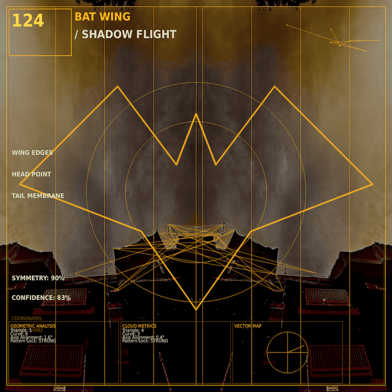 Bat wing