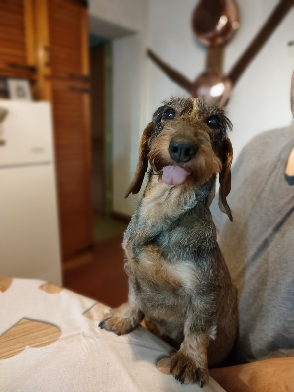 [Image: IMG20211128100047-jpg2.jpg]