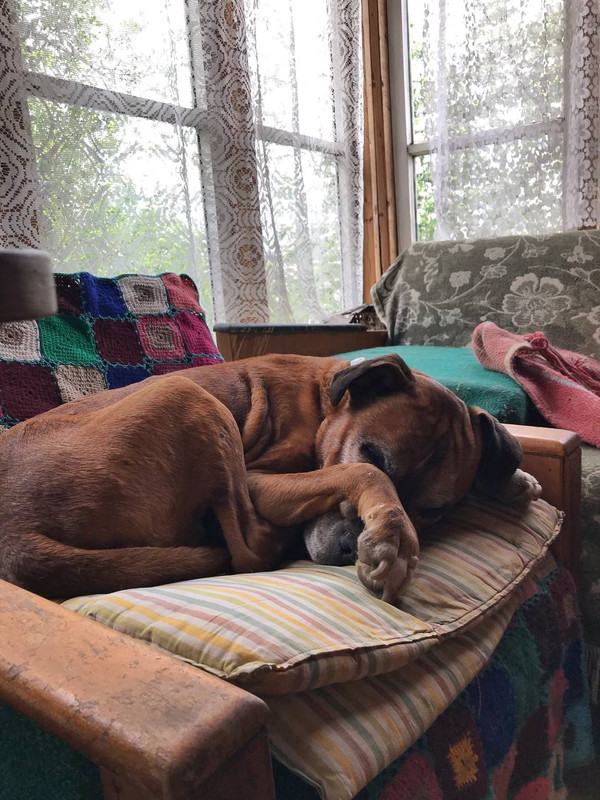 3581B489-289B-4D8B-87CE-D3E0D767CC54