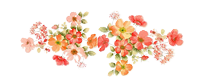 https://i.postimg.cc/YCXs78yg/sprtrprintemps.png