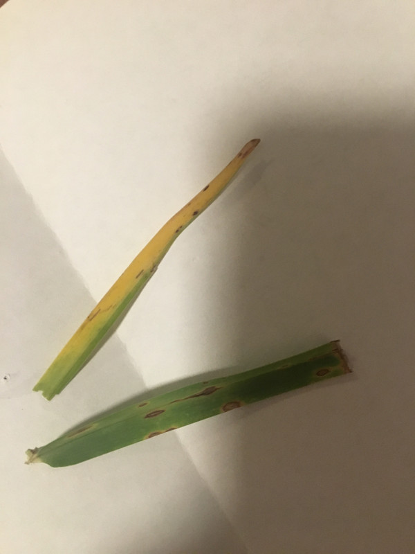 82740C45-0B7D-47E0-85D7-504AABA19DB1