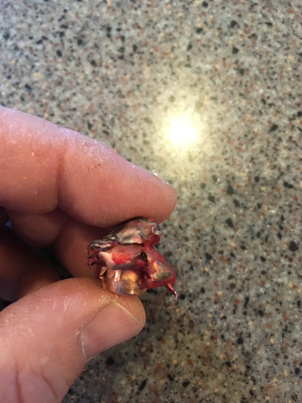 B4C9FC62-E578-4D78-8F0C-1A76315133DC