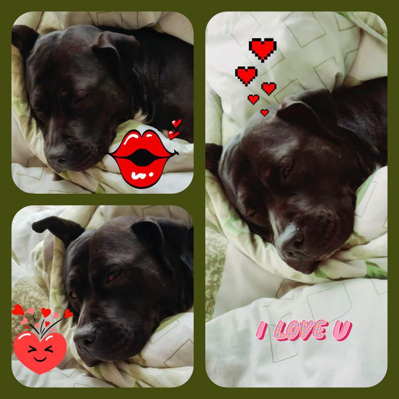 CA3E0A96-C73D-47FD-917E-DE0F7E4FCCE5