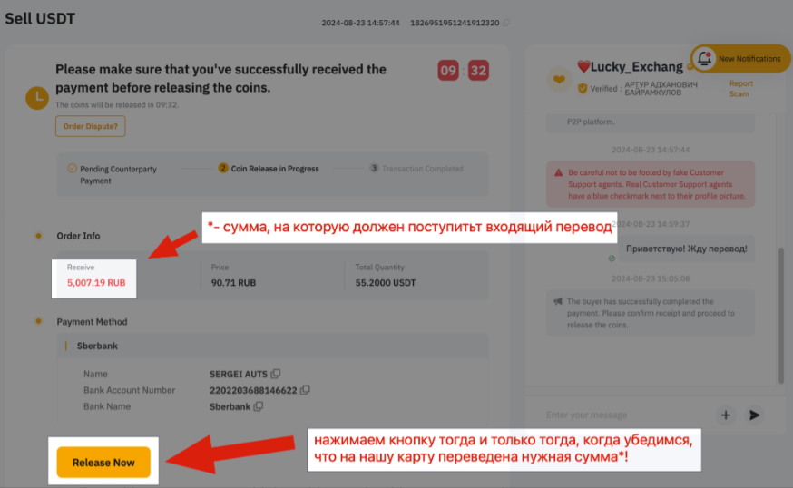 article content image