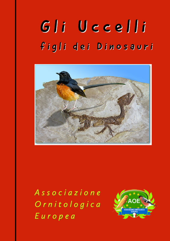 Il mio post (12)_001