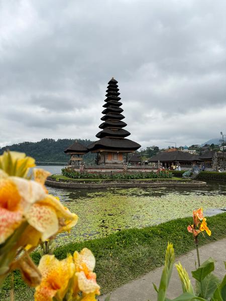 6 Aviones, 3 barcos y 2 trenes, empezando en Estambul y terminando Kuala Lump - Blogs de Indonesia - TERCERA PARADA: BALI (75)