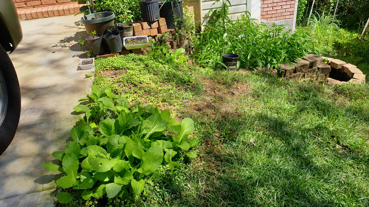 [Image: 20210924-135838.jpg]