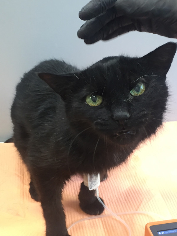 A8E4BD81-0546-4A7F-8F6B-7E6984D91471