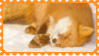 made by @transmascgarfield on tumblr