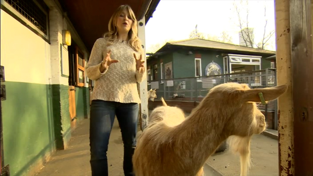 BBC London News_20220324_18301900.ts_snapshot_25.16.051
